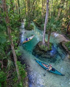 two people in canoes paddling down a river surrounded by palm trees and water