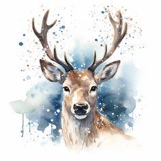 a watercolor painting of a deer with antlers