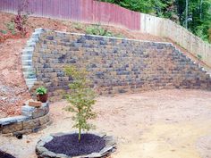 a small tree is growing in the middle of a stone retaining wall and garden area