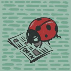 a ladybug sitting on top of a newspaper