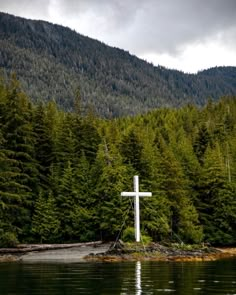 a large white cross sitting in the middle of a forest next to a body of water