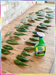 Christmas Gardening Crafts - Buy while it is still available - So act immediately! Click to visit! Fresh Christmas Decor, How To Preserve Greenery, Dried Magnolia Leaves, Drying Leaves For Crafts, Christmas Tree With Magnolia Leaves, How To Preserve Magnolia Leaves, Magnolia Leaves Christmas Decor, Magnolia Leaves Decor