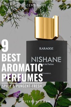 Spicy, herbal, and green-aromatic perfumes are versatile and especially shine in warmer weather. Read the article for our 9 top picks and discover your new favorite. Best Perfume For Men, Green Notes, Perfume Reviews, Unisex Perfume, Woody Fragrance, Womens Fragrances, Signature Scent, Mens Cologne