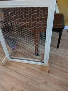 a person standing in front of a chicken cage on top of a hard wood floor