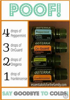 Oregano Benefits, Terra Essential Oils, Doterra Oils Recipes, Doterra Diffuser Blends, Essential Oils For Colds, Oil Remedies, Essential Oils Health