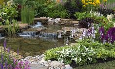 a garden filled with lots of different types of flowers and plants next to a stream