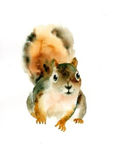 a watercolor painting of a squirrel