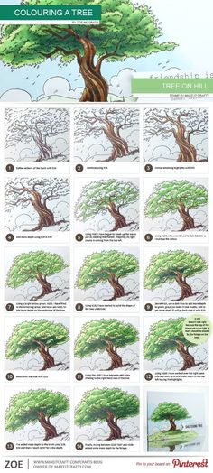 an image of a tree with instructions on how to paint it and how to draw it