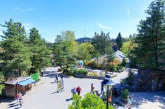 people are walking around in the park on a sunny day with blue sky and green trees