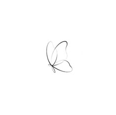 a drawing of a butterfly on a white background