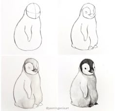 four different penguins are depicted in this drawing