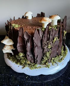 there is a chocolate cake with mushrooms on it