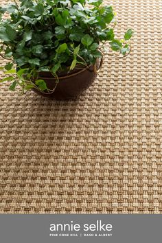 a potted plant sitting on top of a woven table cloth with the words annie selke above it