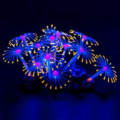 a blue and yellow firework display on top of a black rock in the dark