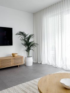 a living room with a large screen tv on the wall and a potted plant in front of it