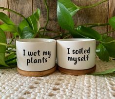 two coffee mugs that say i wet my plants and isolized myself