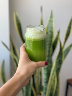 a person holding up a green drink in front of a potted plant