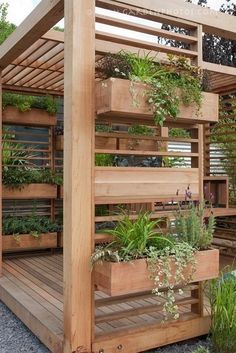 Best Small Deck Ideas With Lights For Your Outdoor Backyard Plant #DeckIdeas #small #backyard #lights #patio #pergola #ideas Pergola Architecture, Mosquito Curtains, Pergola Diy, Backyard Plants, Vertical Gardens, Deck With Pergola, Walled Garden, Backyard Spaces, Outdoor Backyard