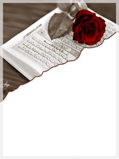 a red rose sitting on top of an open book with arabic writing in the background