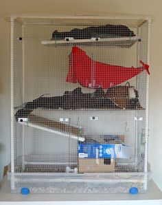 a bird cage with several birds in it and some shelves on the wall behind it