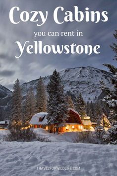 a cabin in the mountains with text overlay that reads cozy cabins you can rent in yellowstone