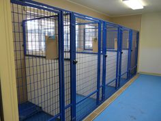 a room with several cages in it and blue flooring on the side walk way