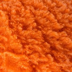 closeup of orange colored fur textured on top of another fuzzy animal's fur