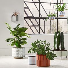 three potted plants sitting on top of a white table next to a window in a room