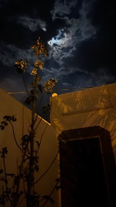 the moon shines brightly in the night sky over a tree and building with its shadow on it