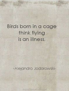 a quote on birds born in a cage think flying is an illusion by alegro jodorowski