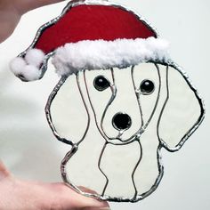 a dog wearing a santa hat on top of it's head