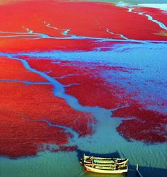 two boats floating on top of a large body of water covered in red and blue algae