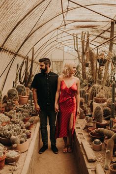 a man and woman standing in a greenhouse with cacti on the walls behind them