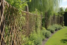 a garden with lots of green plants next to a wooden fence and grass lawning