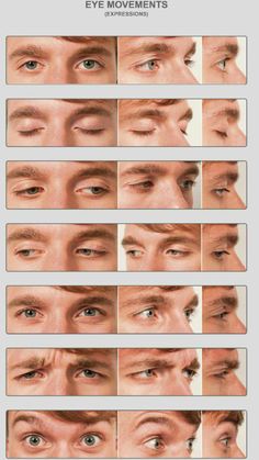 an eye chart showing the different types of eyes and how they are used to see them