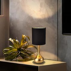 a lamp on a table next to a potted plant with a black lampshade