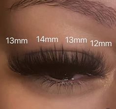 Lash Layout, Lash Sets With Mapping, Classic Hybrid Lashes, Lashes Map, Lash Mapping Eyelash Extensions, Lashes Ideas, Lash Ideas