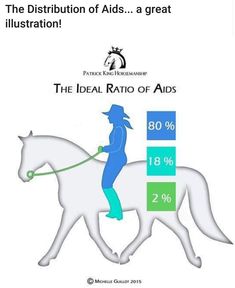 a person riding on the back of a white horse next to a bar chart that says the ideal ratio of aids