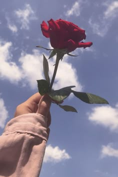 a person holding a red rose in their hand against the blue sky with white clouds