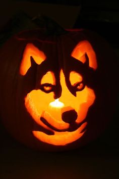 a carved pumpkin with a dog's face on it