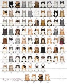 an image of cats in different colors and sizes on a white background, with the same size for each cat