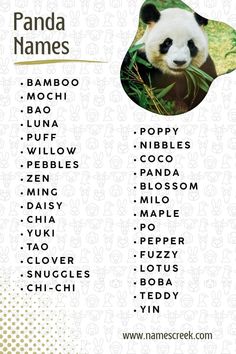 the panda name list is shown in white and green colors, with an image of a panda