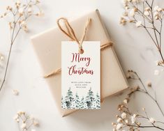 a present wrapped in brown paper with a merry christmas tag on it next to some flowers