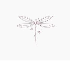 a drawing of a dragonfly on a white background