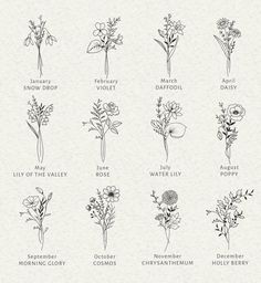 the different types of flowers and their names