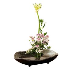 PRICES MAY VARY. Our vases is designed to accentuate all parts of the flower so anyone can create a wonderful arrangement with just a few blooms. Vase size: height: 5cm / 2.0in,Width: 22cm / 8.7in.The flower frog is 4.6cm/ 1.8 inch in diameter.Not including flowers. Pins of the flower arrangement needles are made of stainless steel. The pins are solid enough to hold different kinds of flowers and plants. The pin frog significantly extends the life of your flowers, in some cases to up to 3 weeks Ikebana Vases Ceramics, Ceramic Ikebana, Different Kinds Of Flowers, Ikebana Vase, Ikebana Flower, Ikebana Flower Arrangement, Ikebana Vases, Orchid Arrangements, Round Flower