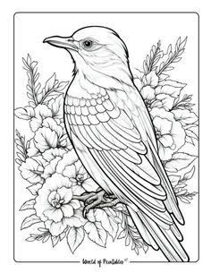 a bird sitting on top of flowers with the words, birds and flowers below it