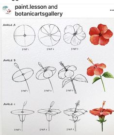 some flowers that are drawn in different ways