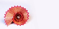 a red flower that is sitting on a white surface with its petals folded back to the side