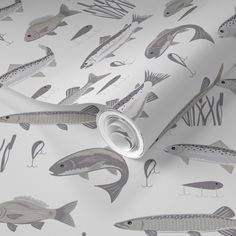 a wallpaper with fish on it in grey and white colors, including an image of fishes